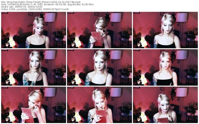 stripchat-noah_elmerx-10-31-2025-00-17-48