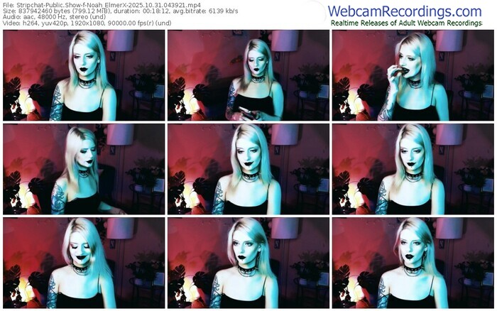 stripchat-noah_elmerx-10-31-2025-04-39-21