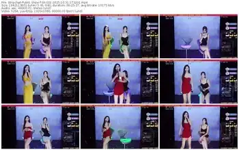 stripchat-sk-001-10-31-2025-17-32-01