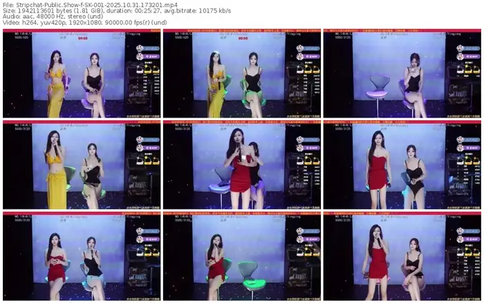 stripchat-sk-001-10-31-2025-17-32-01