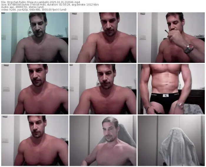 stripchat-lambe91-10-31-2025-21-09-41