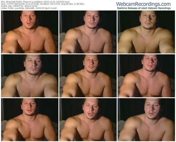 stripchat-lionedwin-10-31-2025-10-19-26