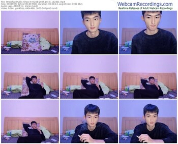 stripchat-n228-10-31-2025-13-23-01