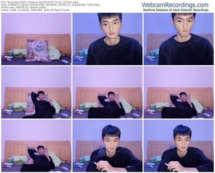 stripchat-n228-10-31-2025-13-23-01