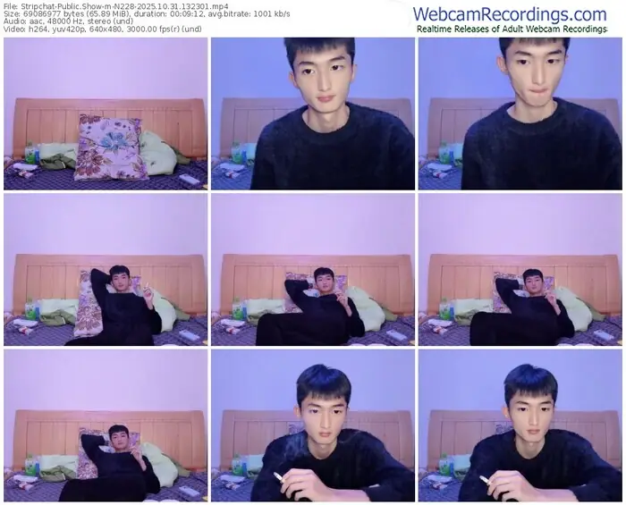 stripchat-n228-10-31-2025-13-23-01