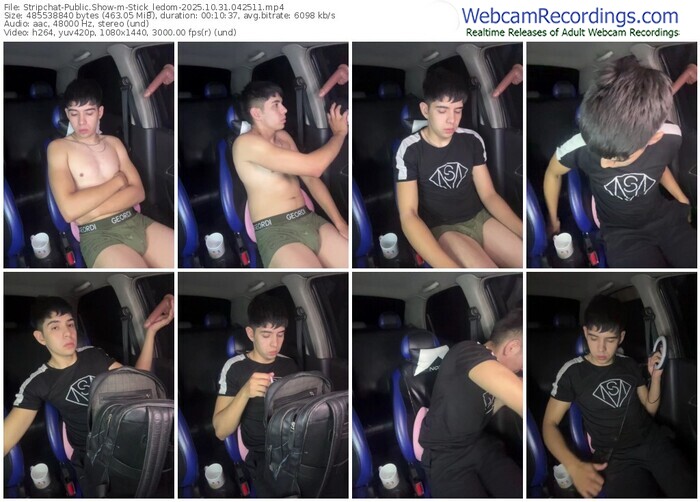 stripchat-stick_ledom-10-31-2025-04-25-11