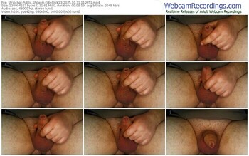 stripchat-tobydick13-10-31-2025-11-26-51