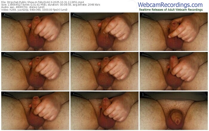 stripchat-tobydick13-10-31-2025-11-26-51