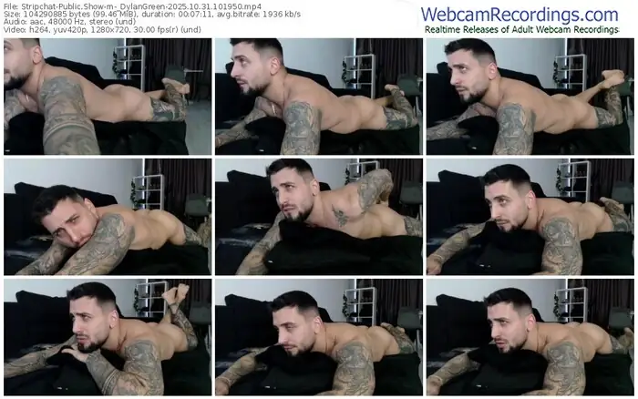 stripchat-_dylangreen-10-31-2025-10-19-50