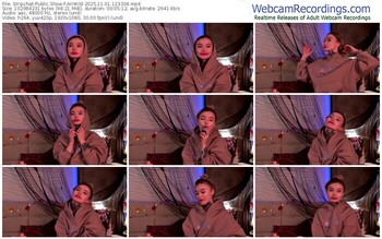 stripchat-ariwild-11-01-2025-12-33-38