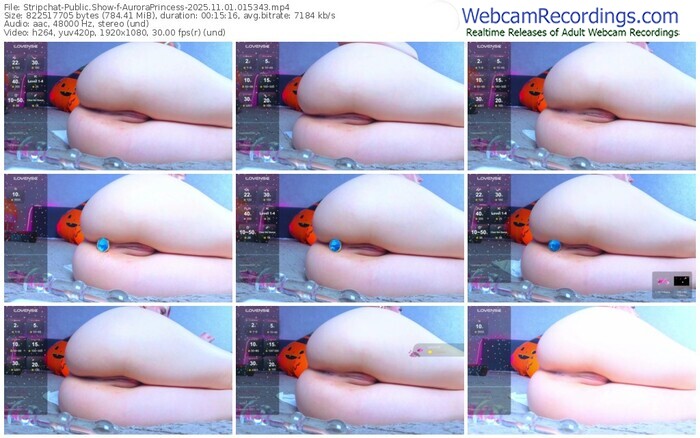 stripchat-auroraprincess-11-01-2025-01-53-43