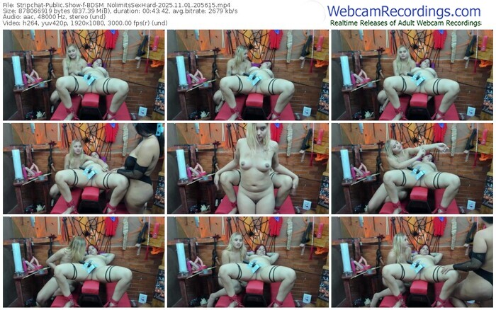 stripchat-bdsm_nolimitssexhard-11-01-2025-20-56-15
