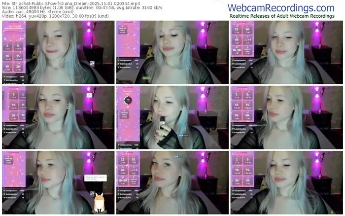 stripchat-diana_dream-11-01-2025-02-03-44