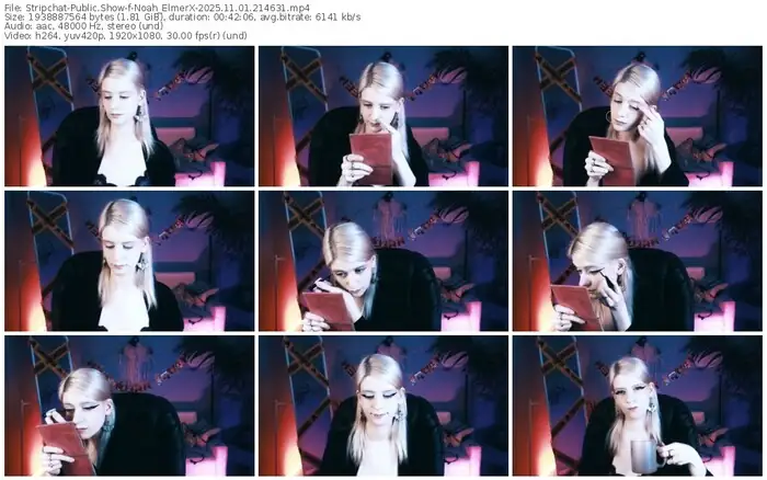stripchat-noah_elmerx-11-01-2025-21-46-31
