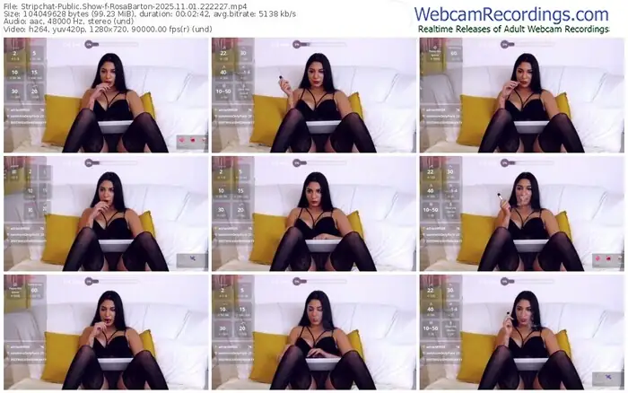 stripchat-rosabarton-11-01-2025-22-22-27