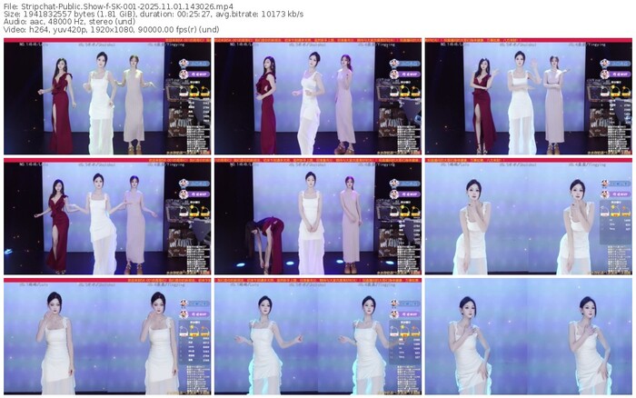 stripchat-sk-001-11-01-2025-14-30-26