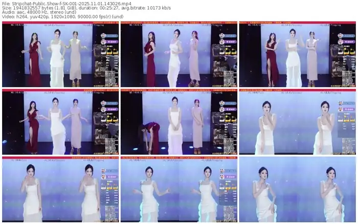 stripchat-sk-001-11-01-2025-14-30-26