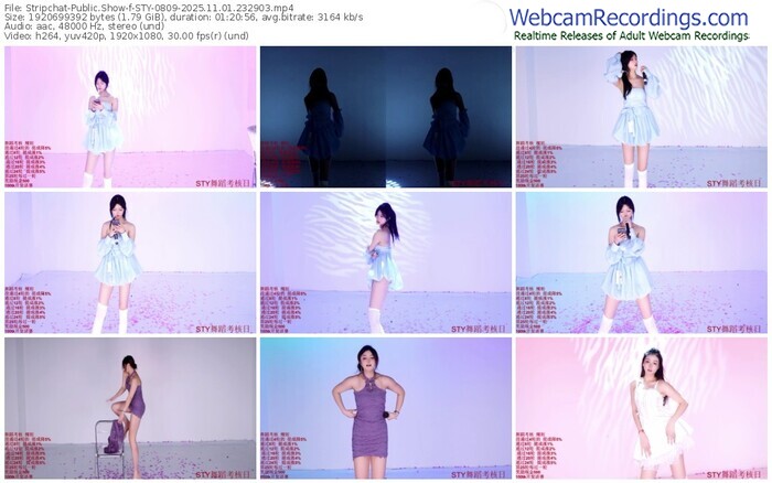 stripchat-sty-0809-11-01-2025-23-29-03