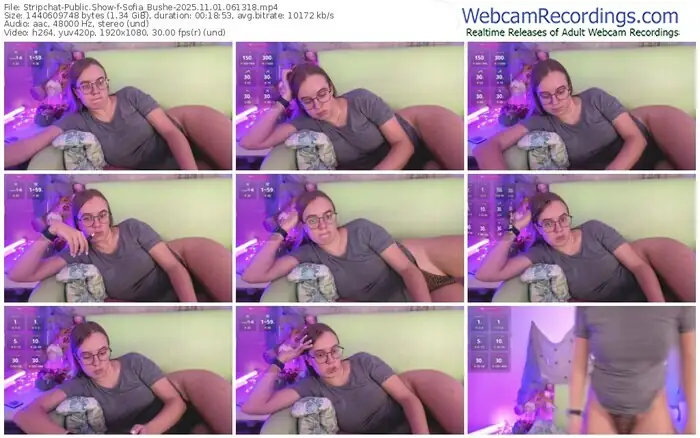 stripchat-sofia_bushe-11-01-2025-06-13-18