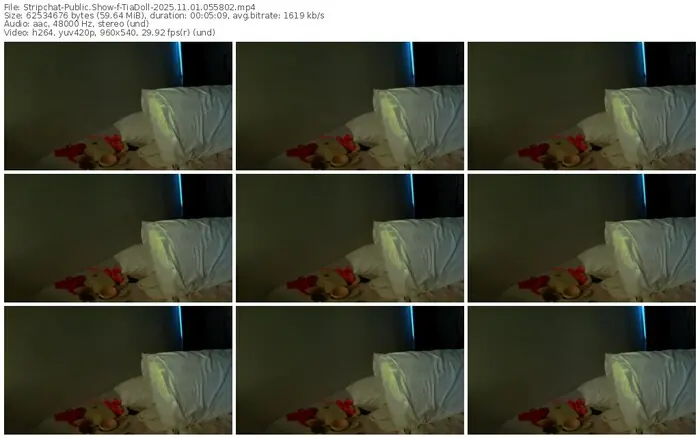 stripchat-tiadoll-11-01-2025-05-58-02
