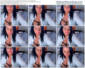 stripchat-perfectpleasure-11-01-2025-12-36-45