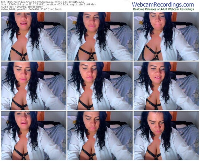 stripchat-perfectpleasure-11-01-2025-12-36-45