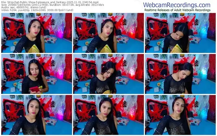 stripchat-pleasure_and_fantasy-11-01-2025-23-41-54