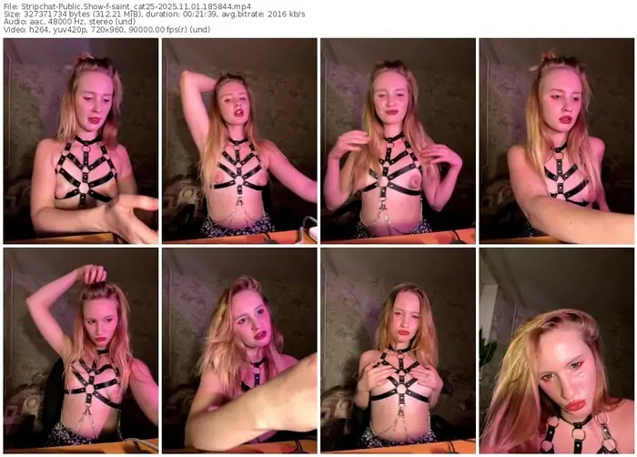 stripchat-saint_cat25-11-01-2025-18-58-44