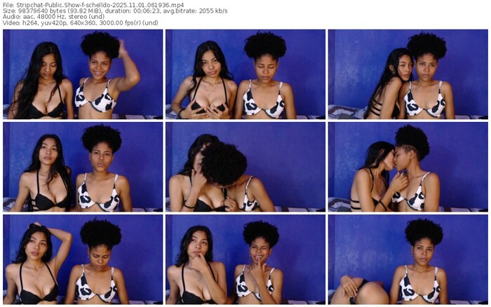 stripchat-schelldo-11-01-2025-06-19-36