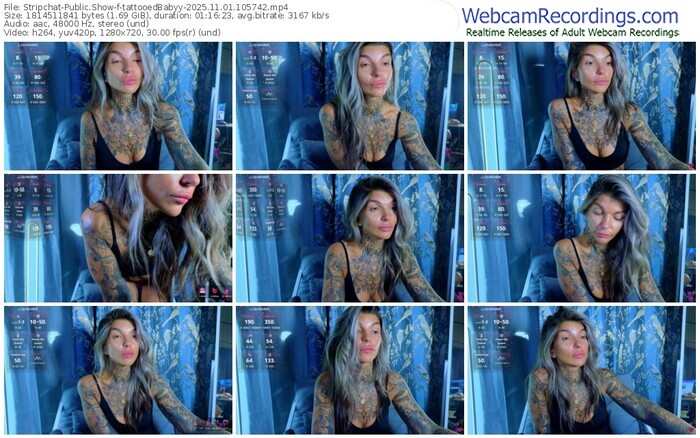 stripchat-tattooedbabyy-11-01-2025-10-57-42