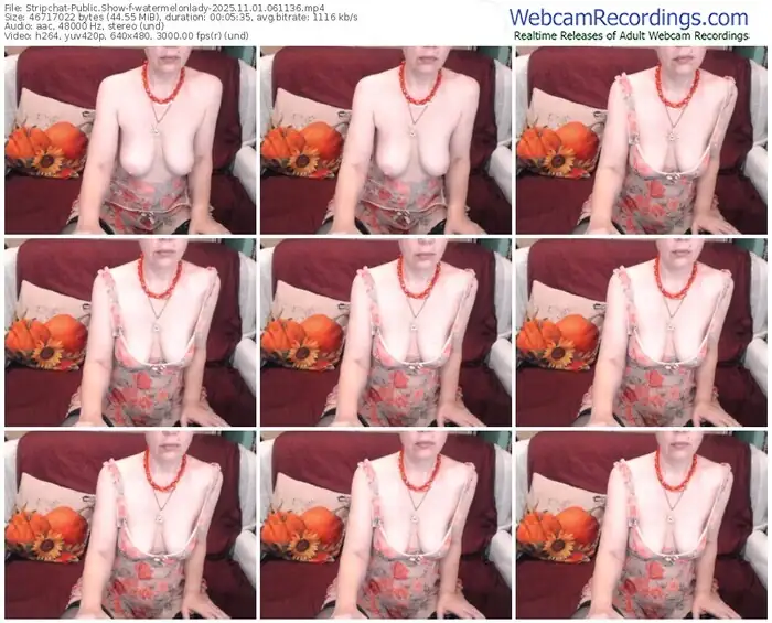 stripchat-watermelonlady-11-01-2025-06-11-36