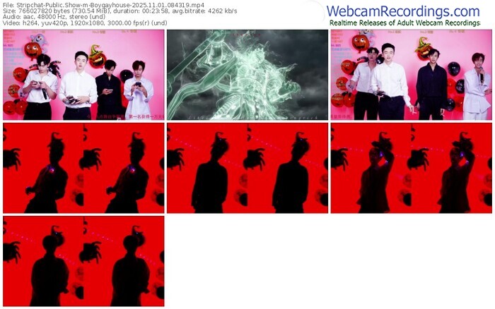 stripchat-boygayhouse-11-01-2025-08-43-19