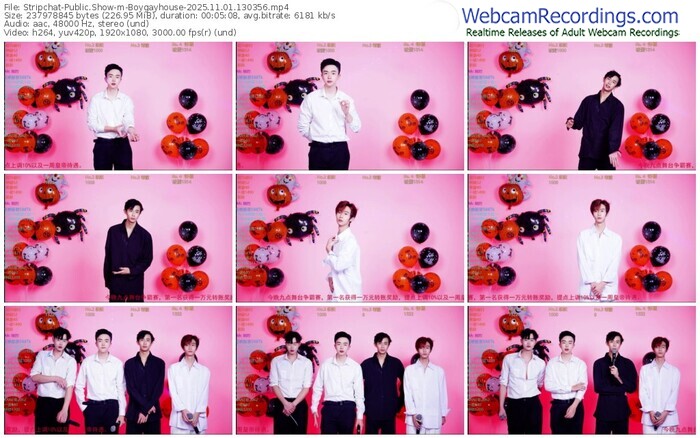stripchat-boygayhouse-11-01-2025-13-03-56