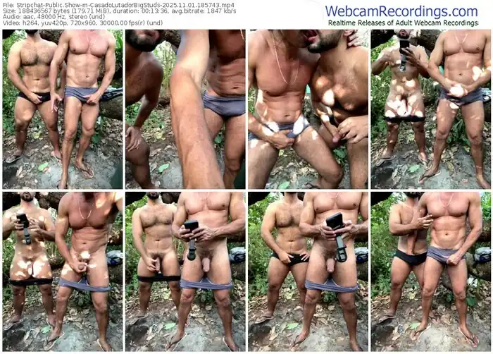 stripchat-casadolutadorbigstuds-11-01-2025-18-57-43