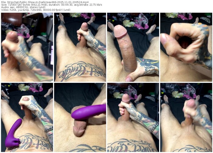 stripchat-darkinsex666-11-01-2025-20-05-24