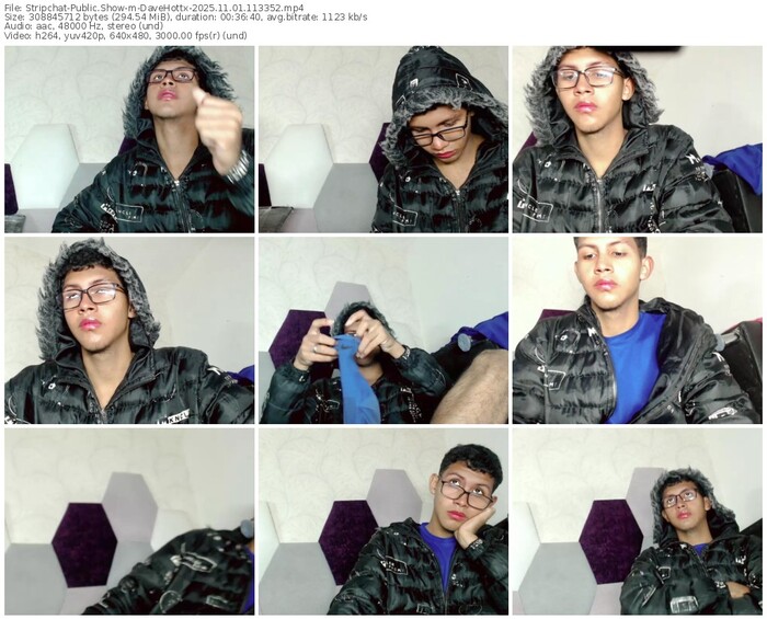 stripchat-davehottx-11-01-2025-11-33-52
