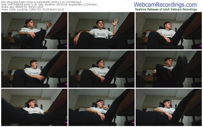 stripchat-felixstarkk-11-01-2025-15-37-48
