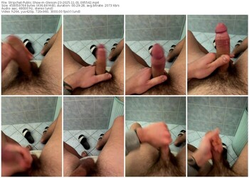 stripchat-gleison-23-11-01-2025-09-55-42