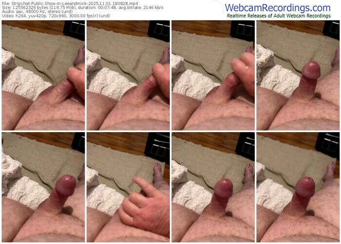 stripchat-leeandmick-11-01-2025-18-08-28