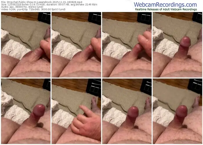 stripchat-leeandmick-11-01-2025-18-08-28