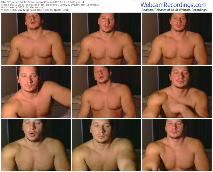 stripchat-lionedwin-11-01-2025-08-47-14