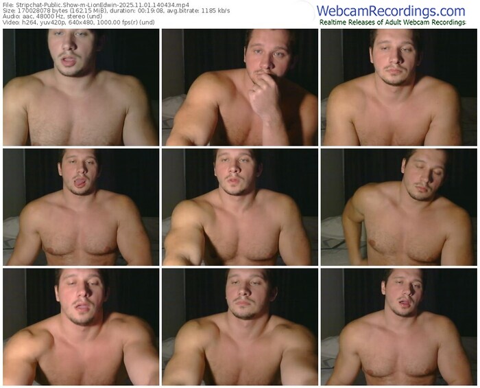 stripchat-lionedwin-11-01-2025-14-04-34