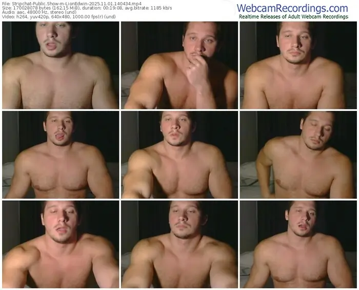 stripchat-lionedwin-11-01-2025-14-04-34