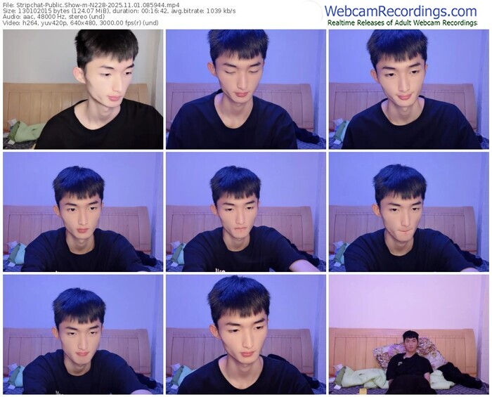 stripchat-n228-11-01-2025-08-59-44