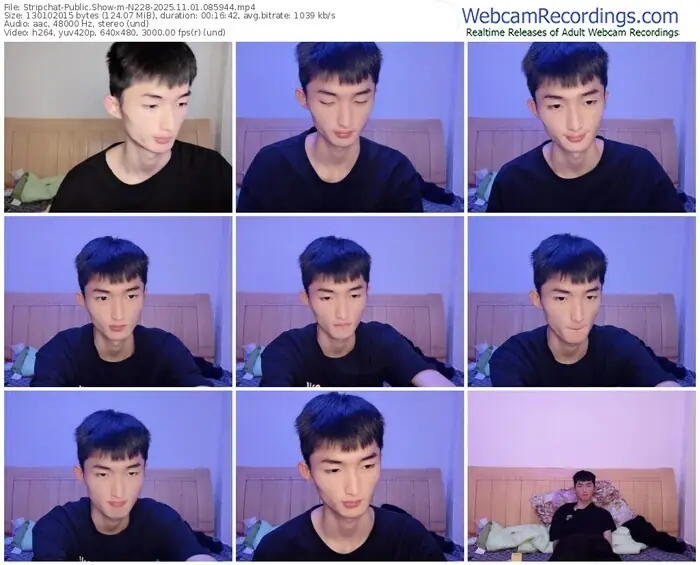 stripchat-n228-11-01-2025-08-59-44