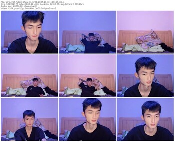 stripchat-n228-11-01-2025-13-01-36