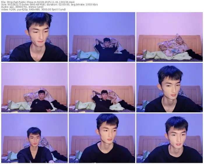 stripchat-n228-11-01-2025-13-01-36