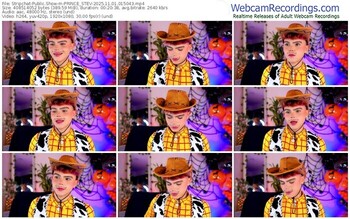 stripchat-prince_stev-11-01-2025-01-50-43