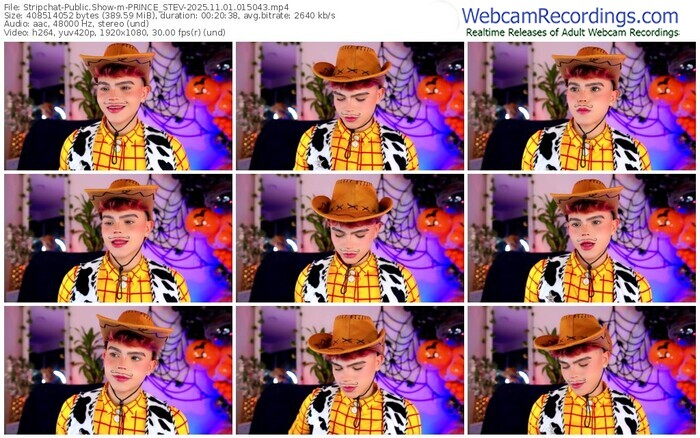 stripchat-prince_stev-11-01-2025-01-50-43