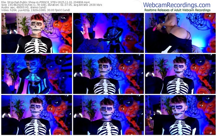 stripchat-prince_stev-11-01-2025-23-48-08